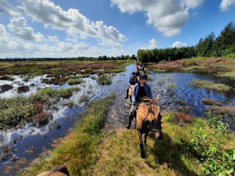 Mit Islandpferden auf Roemoe