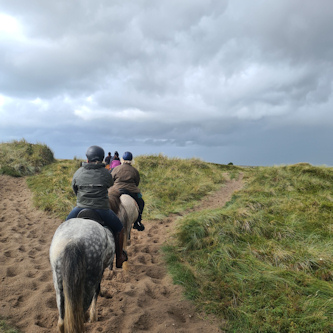 Mit Islandpferden auf Roemoe