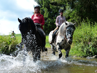Reiten im Bayerischen Wald