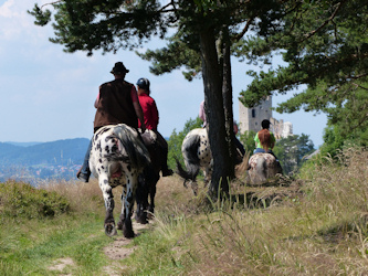 Reiten im Bayerischer Wald