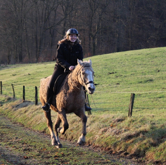 Reiterferien</td>
				          </tr>
				        </table>
					      <table width=