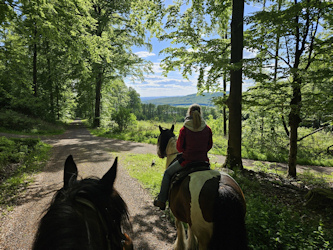 Reiten in Deutschland