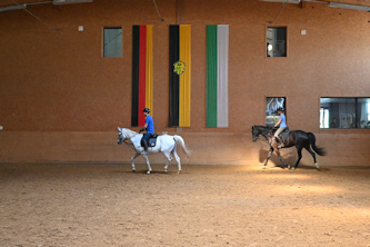 Reiten durch die Natur Erzgebirge