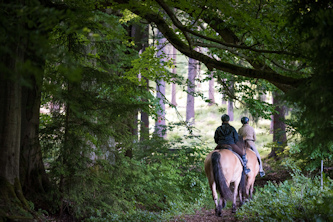 Schwimmbad erzgebirge