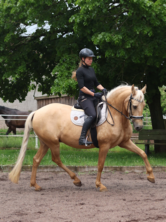 Reiten im Suedharz