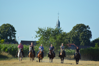 Westernpferd Reiturlaub