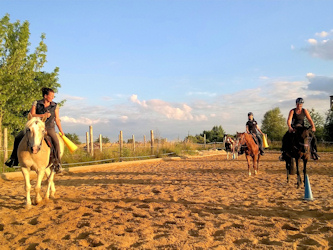 Wanderritt Deutschland