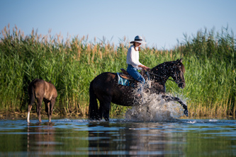 Reiterferien an der Seenplatte