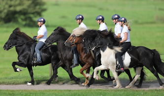 Reiten auf Isl&auml;ndern