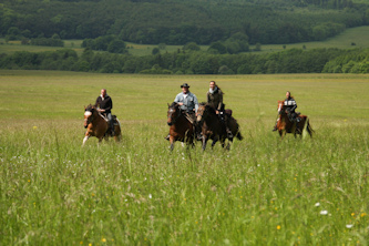 Reiten lernen im Gel&auml;nde Rh&ouml;n