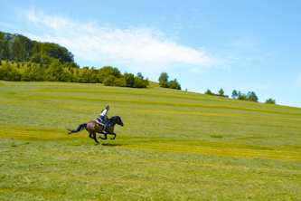 Reiten lernen im Gel&auml;nde Rh&ouml;n