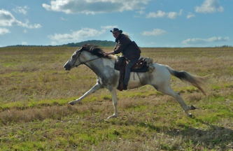 Reiten lernen im Gel&auml;nde Rh&ouml;n