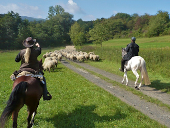 Reiten lernen im Gel&auml;nde Rh&ouml;n