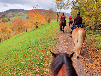 Reiten im Bayerischer Wald