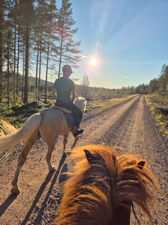Finnland Reitführer