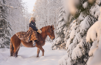 Reittour Lappland