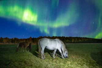 Reittour Lappland