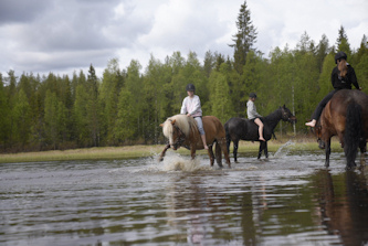 Reiterferien