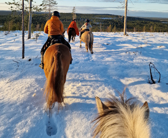 Wanderritt in Lappland