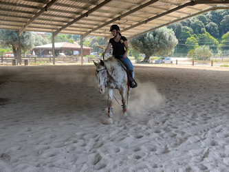 Wanderreiten Korsika