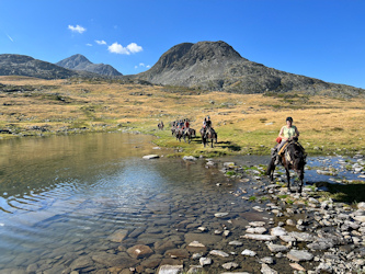 Reiten durch das Gebirge in den Pyrenaeen