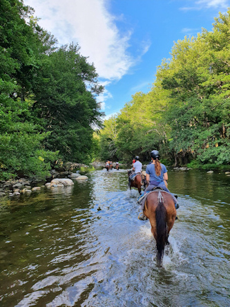 Reiterferien Korsika