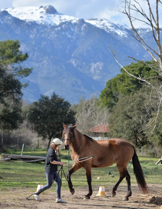 Reiterferien Korsika