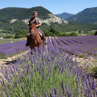 Reitferien Provence