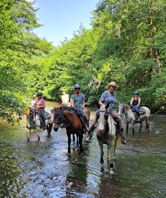 Westernreiten mit Rinderarbeit