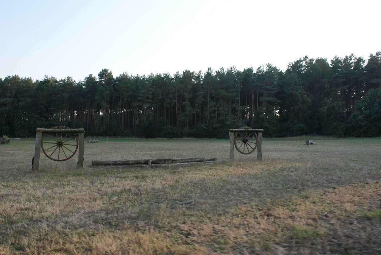 dz53.jpg