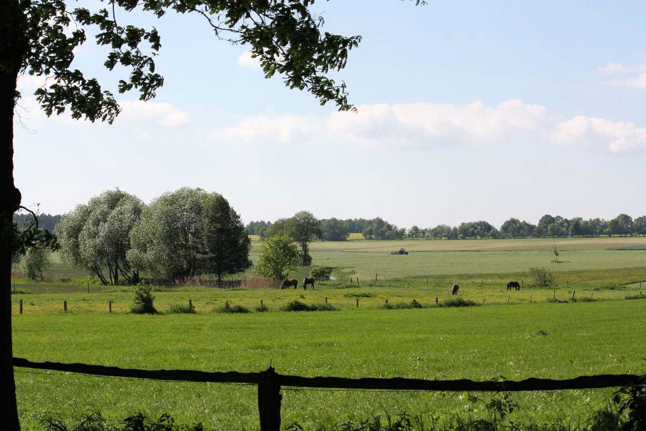 na23.jpg