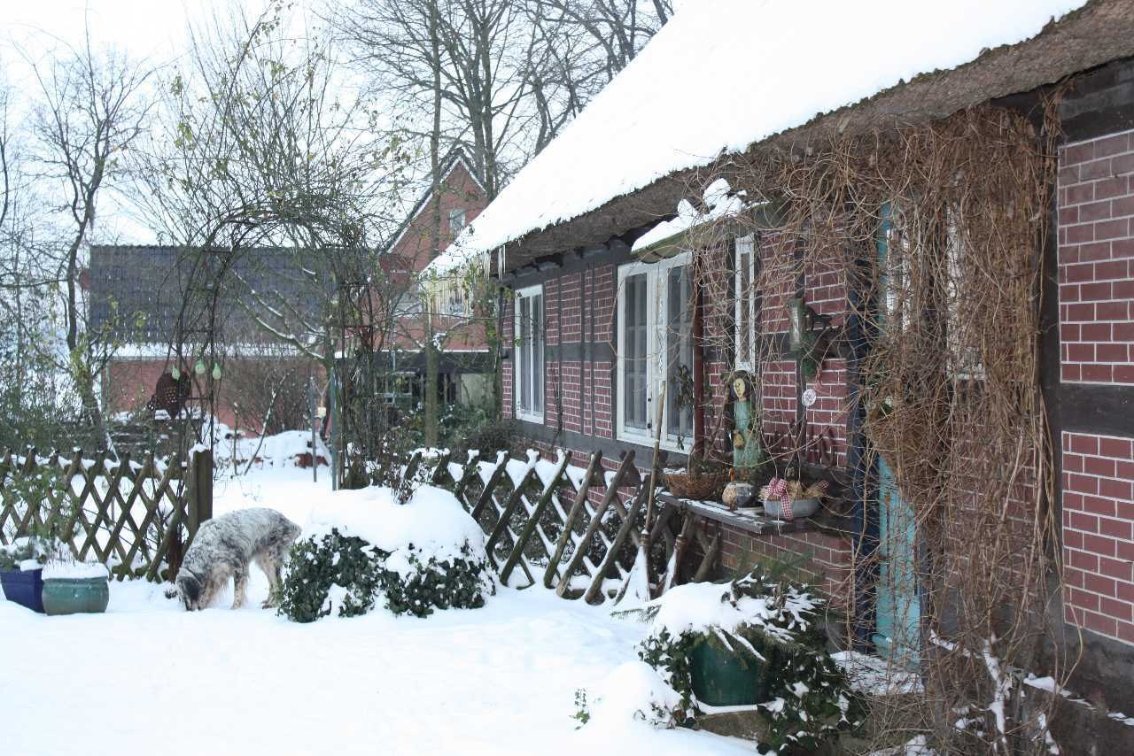 na26.jpg