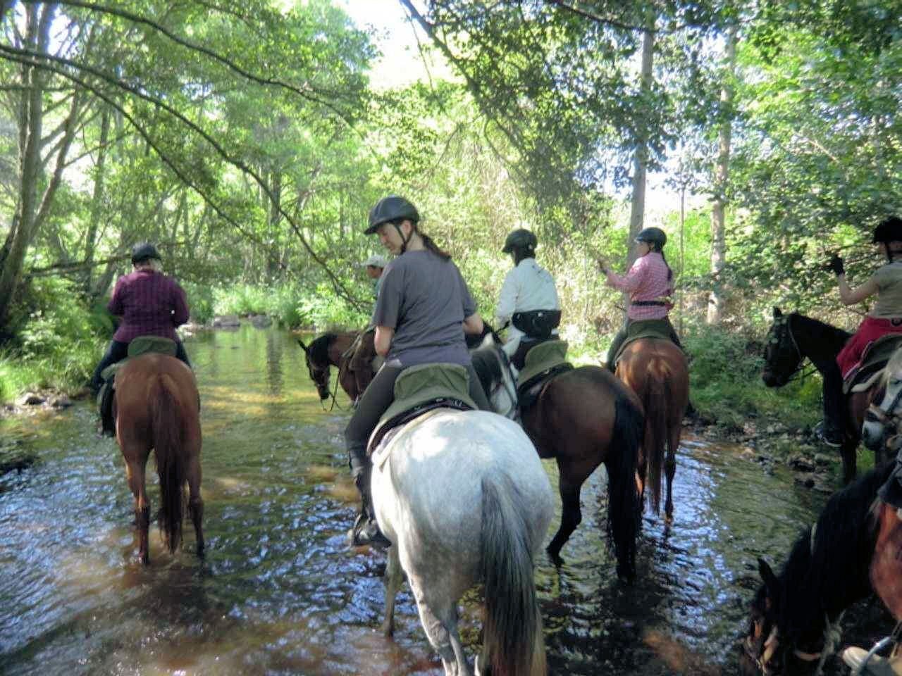 te34.jpg