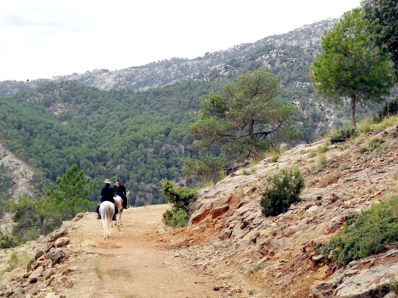 sx08.jpg