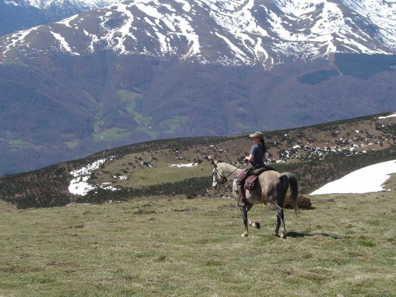 ct07.jpg