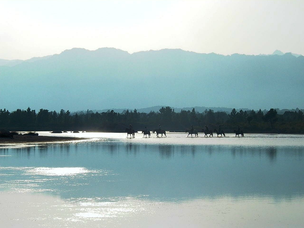 km21.jpg