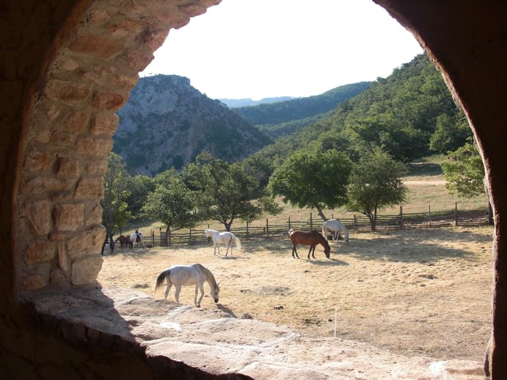 rn71.jpg