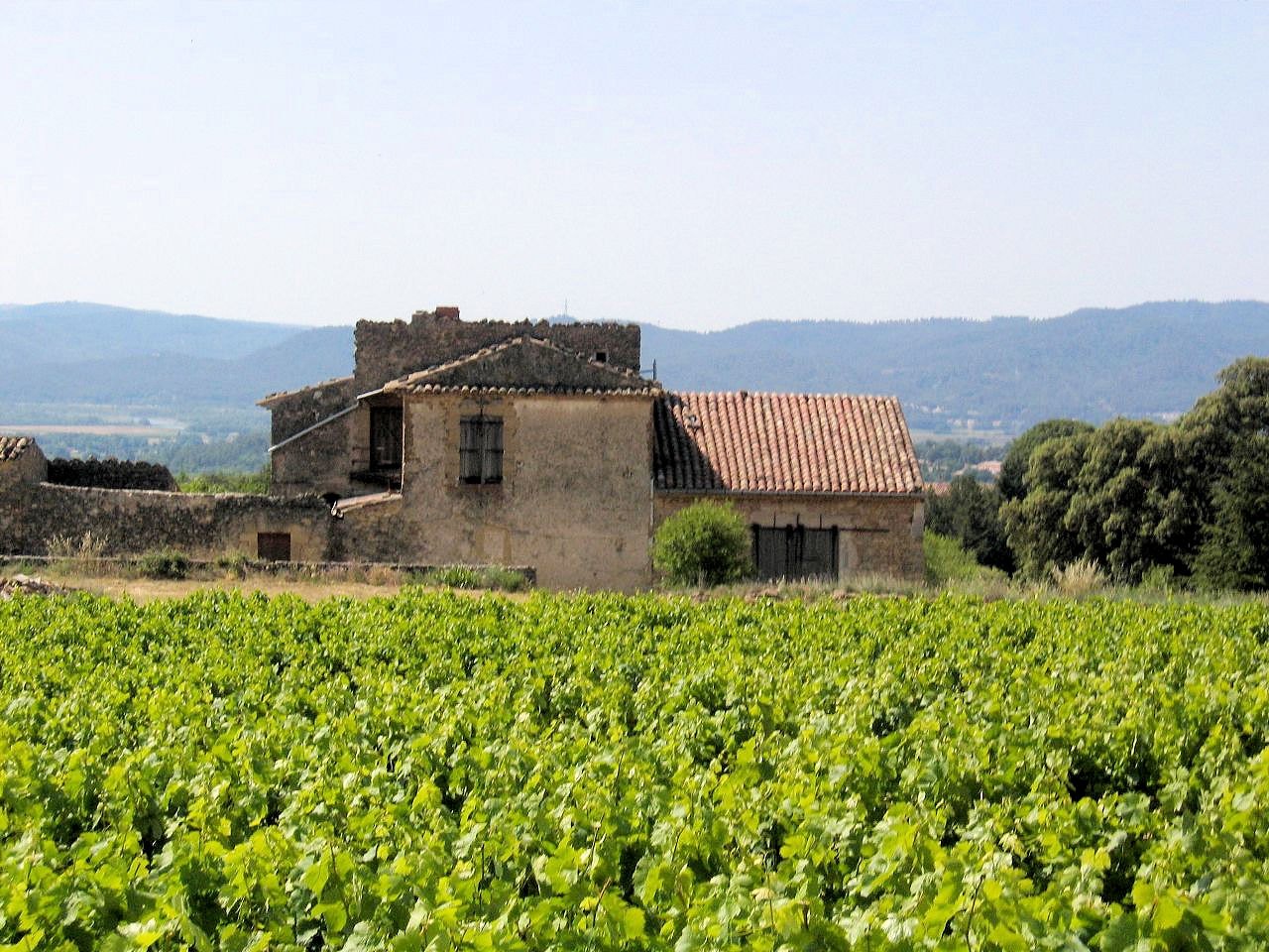 rn77.jpg