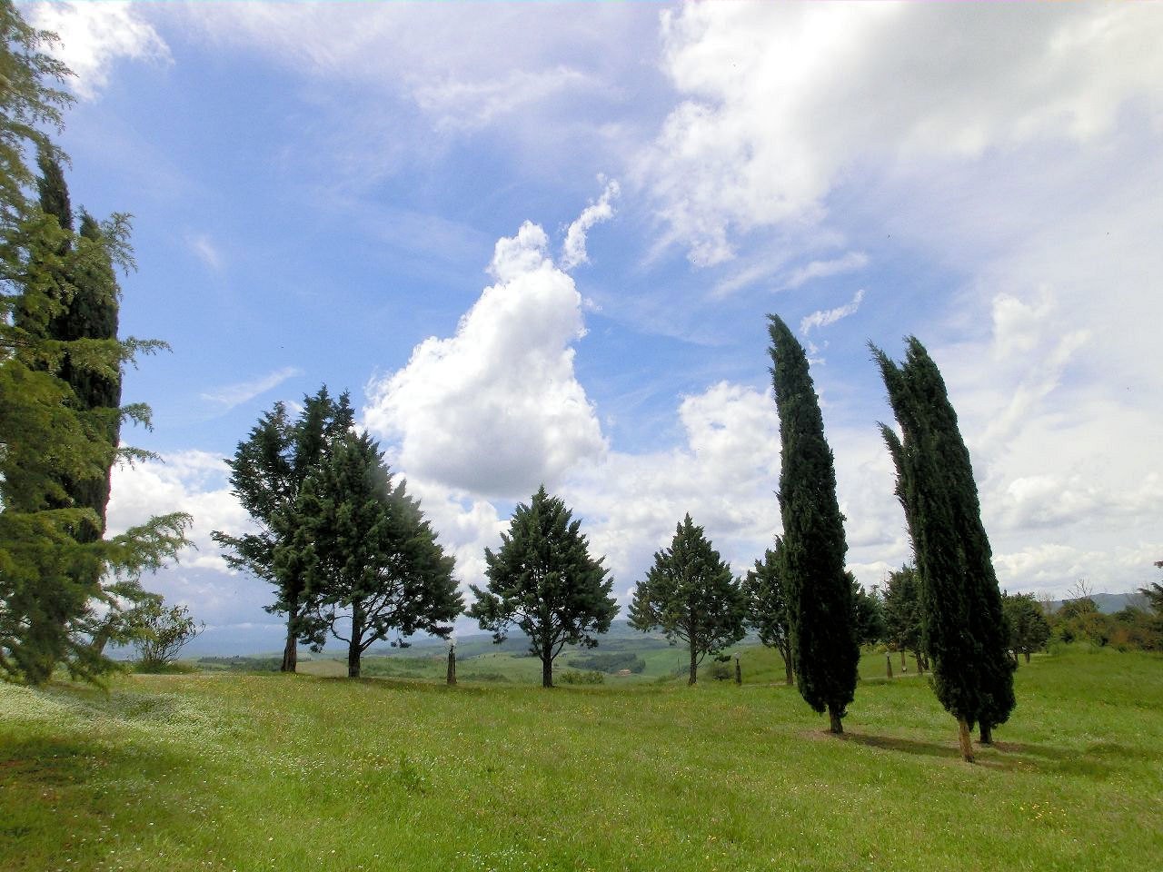 tp62.jpg