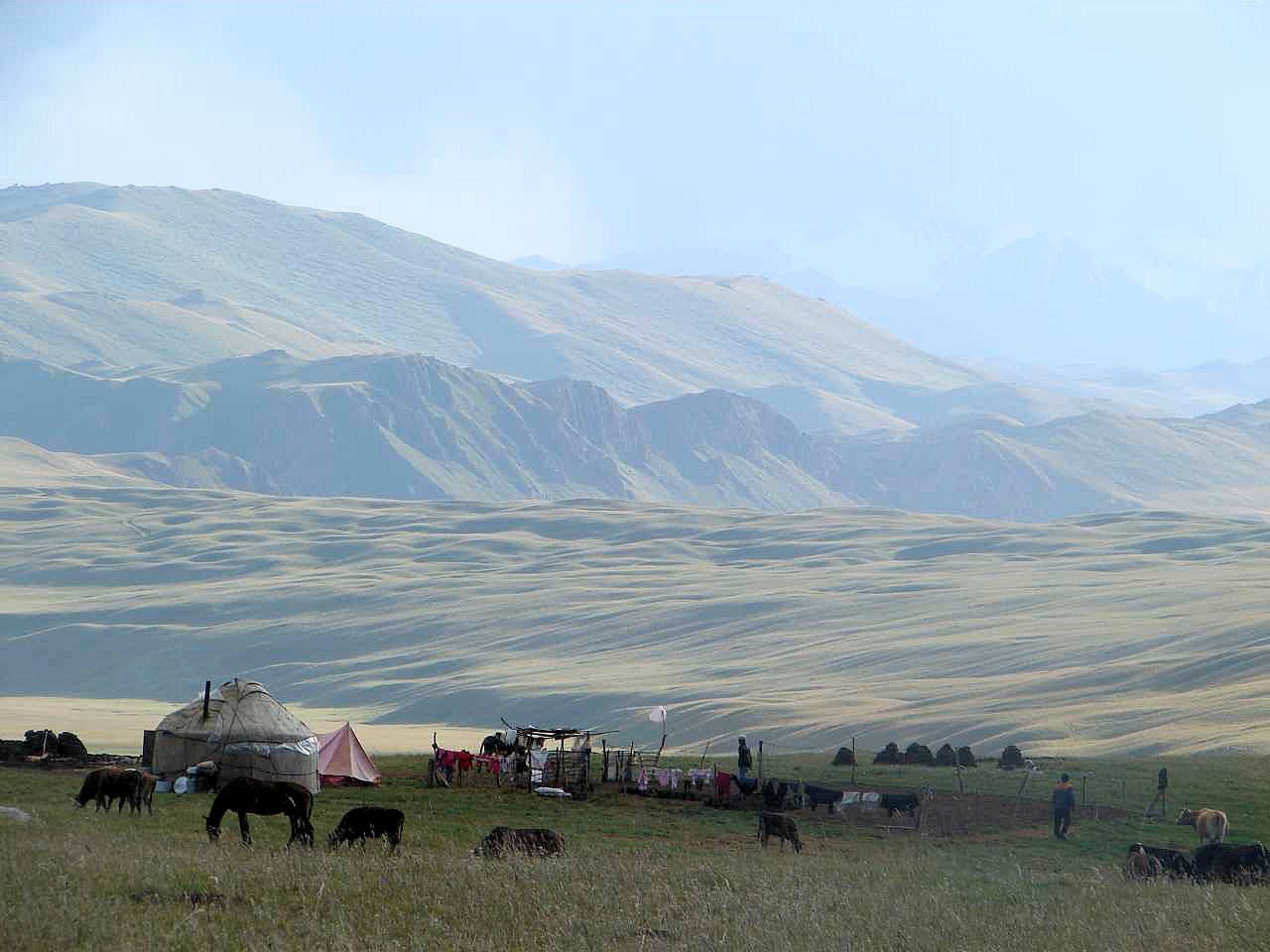 kg30.jpg