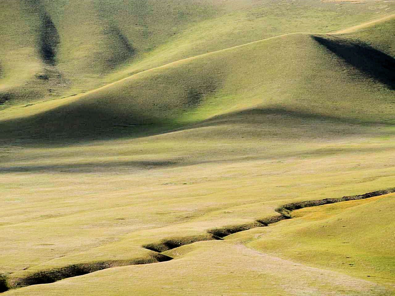 kg39.jpg