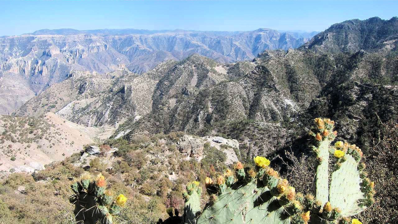 mx97.jpg