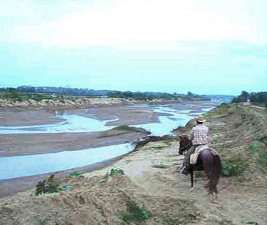 pr60.jpg