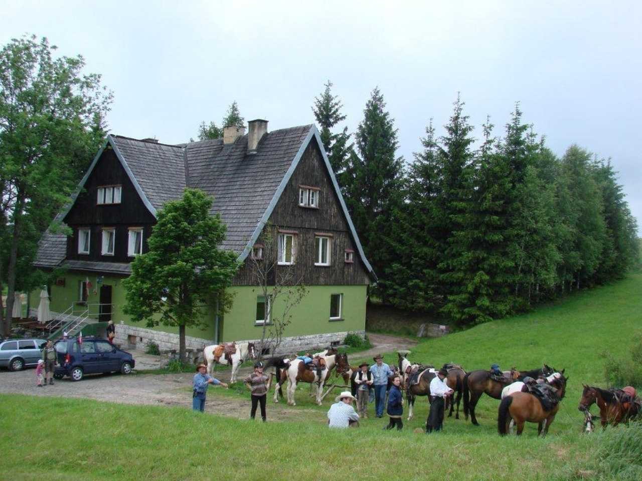 wp224.jpg