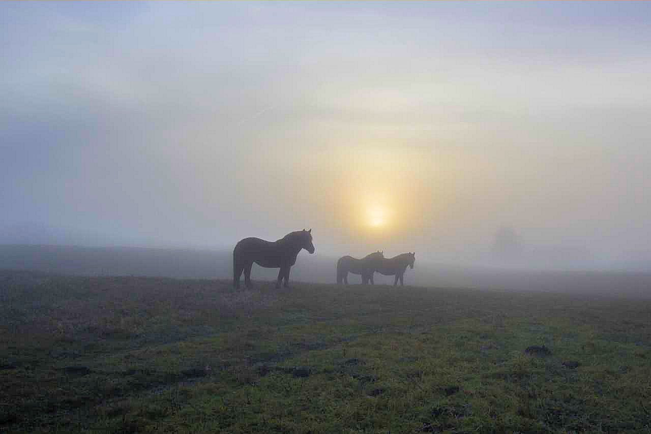 pp69.jpg