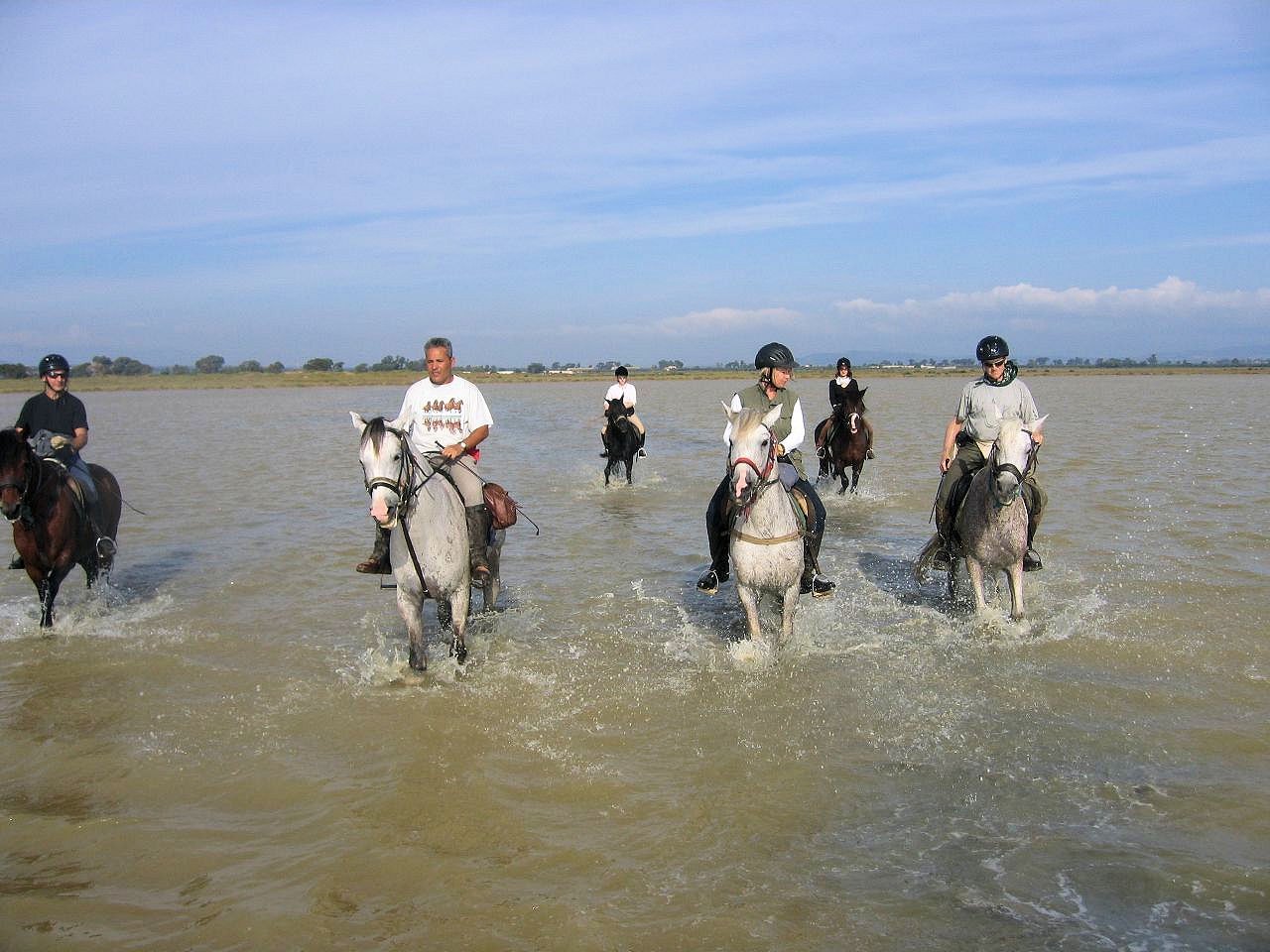 sh16.jpg
