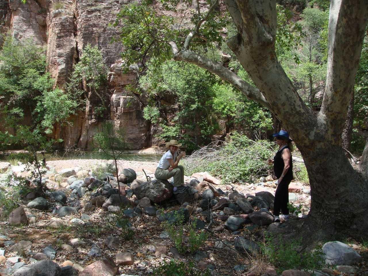 ua08.jpg