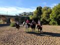 wm76.jpg