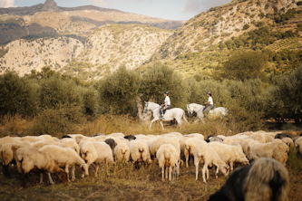 Wanderritt Griechenland