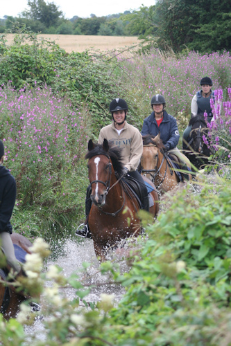 Galopp Wales
